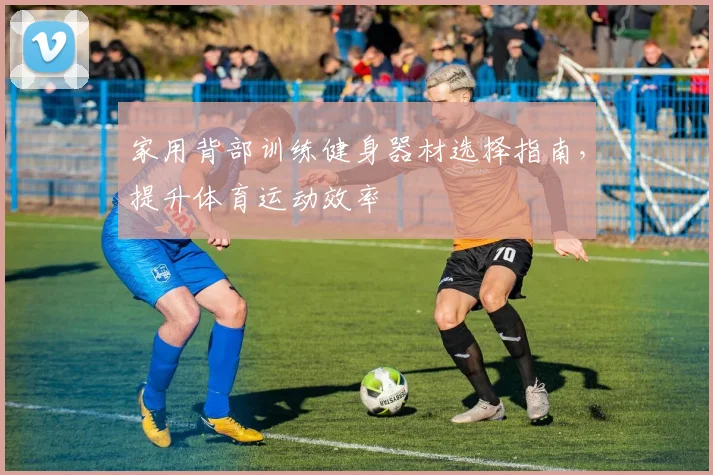 家用背部训练健身器材选择指南，提升体育运动效率