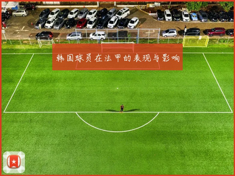韩国球员在法甲的表现与影响