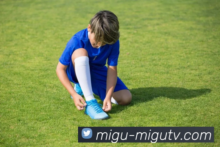 英超与德甲各支球队数量与特点对比分析